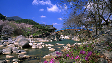 화림동 계곡 - 농월정