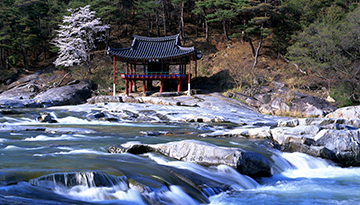 화림동 계곡 - 거연정